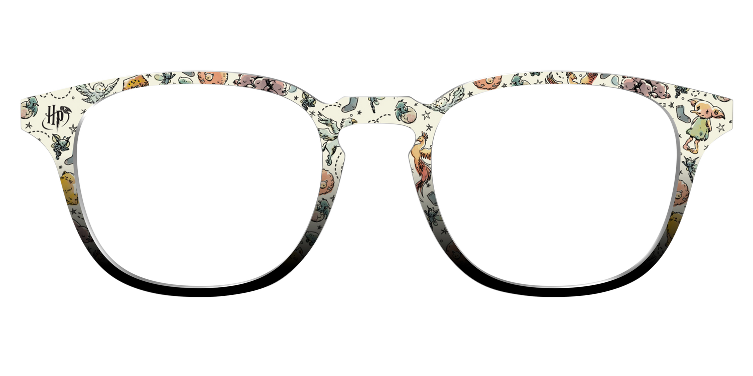 The Dobby & Friends - Front Top Image - Pair Eyewear