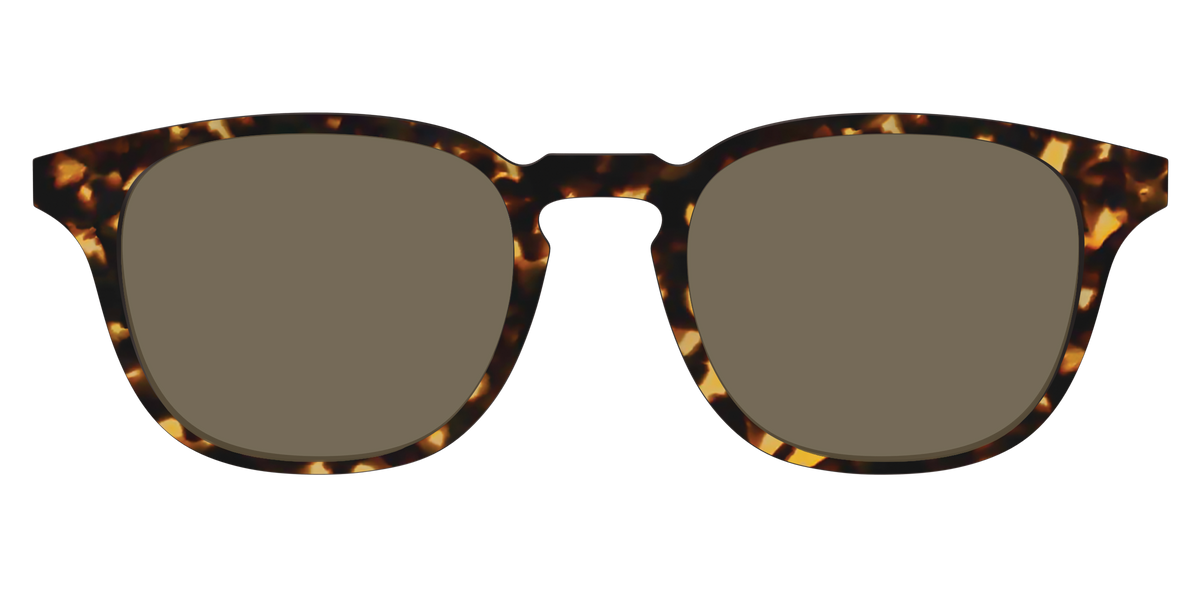 The Non-Polarized Tortoise Sun Top - Front Top Image - Pair Eyewear