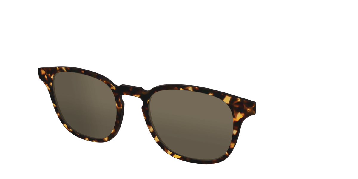 The Non-Polarized Tortoise Sun Top - Angle Top Image - Pair Eyewear
