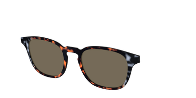The Polarized Gray & Amber Tortoise Sun Top - Angle Top Thumbnail - Pair Eyewear