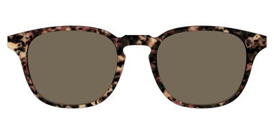 The Polarized Sienna Tortoise Sun Top - Front Top Thumbnail - Pair Eyewear