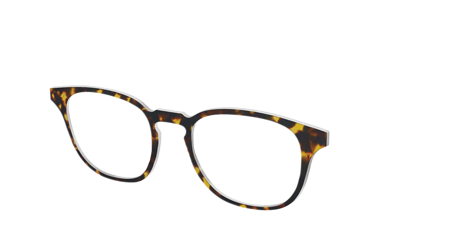 The Tortoise - Angle Top Image - Pair Eyewear