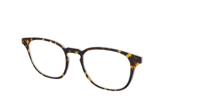 The Tortoise - Angle Top Thumbnail - Pair Eyewear