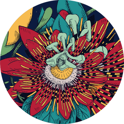 The Frida Flower Crown