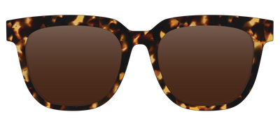 The Polarized Tortoise Sun Top - Front Top Thumbnail - Pair Eyewear