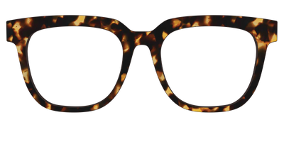 The Tortoise - Front Top Thumbnail - Pair Eyewear