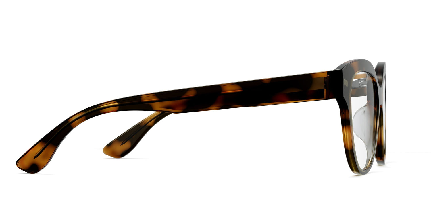 The Quinn - Tortoise - Carousel3 - Pair Eyewear