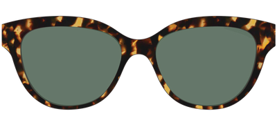 The Non-Polarized Green Tortoise Sun Top - Front Top Thumbnail - Pair Eyewear