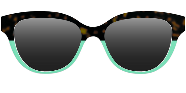 The Quinn - Lensless