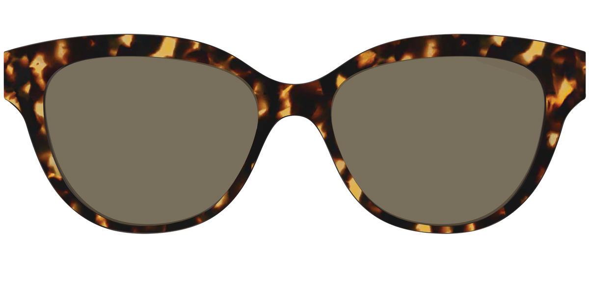 The Non-Polarized Tortoise Sun Top - Front Top Image - Pair Eyewear
