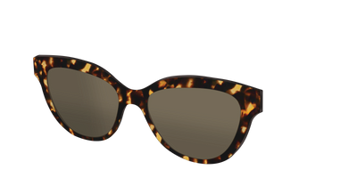 The Non-Polarized Tortoise Sun Top - Angle Top Thumbnail - Pair Eyewear