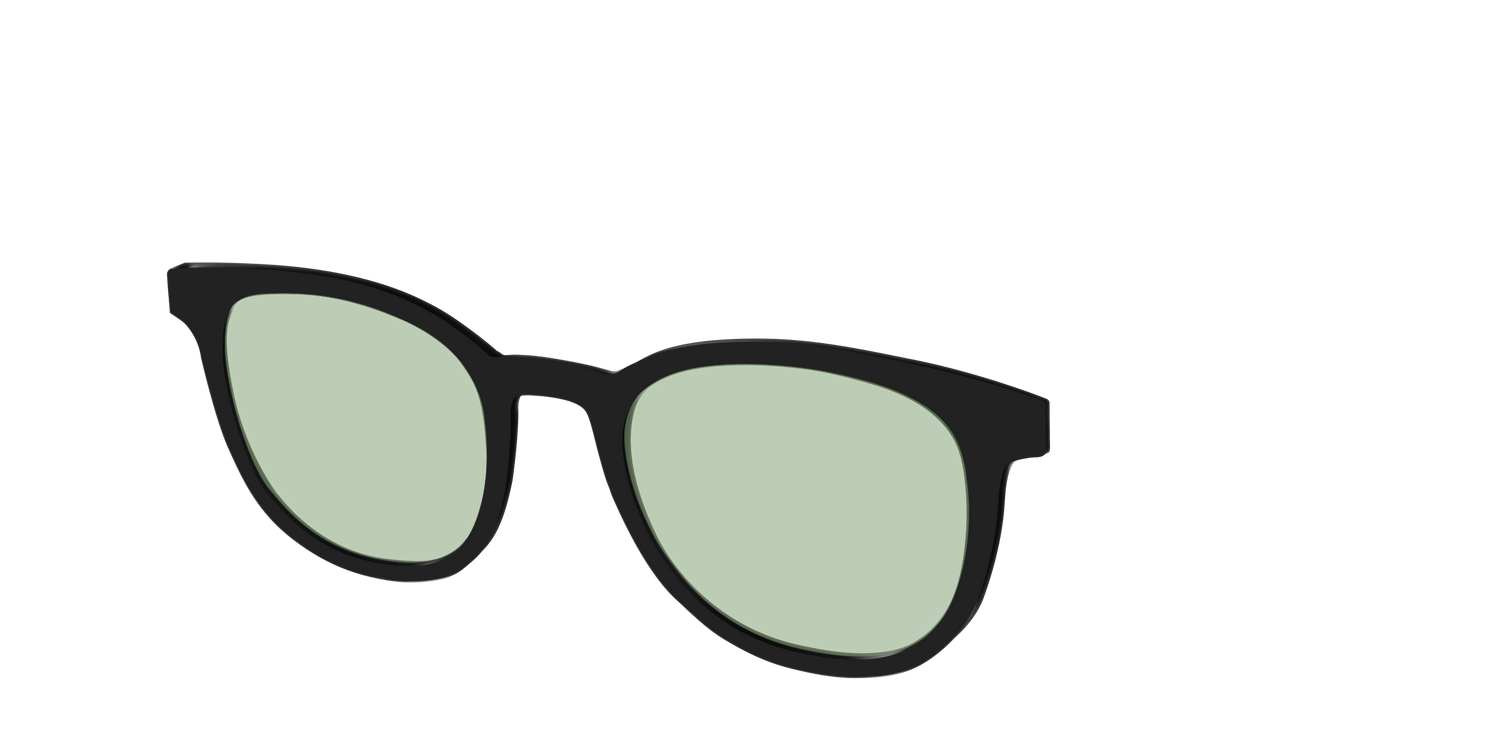 The Black With Sage Green Lens - Angle Top Image - Pair Eyewear