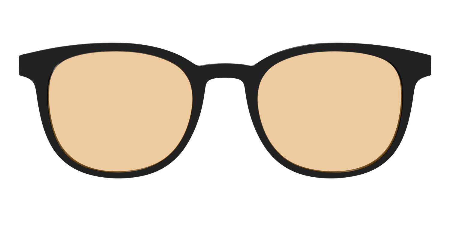 The Black With Umber Brown Lens - Front Top Image - Pair Eyewear