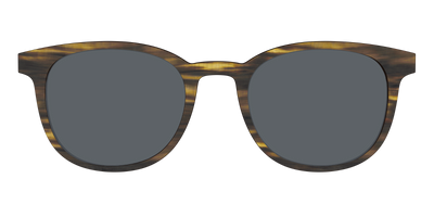 The Polarized Horn Sun Top - Front Top Thumbnail - Pair Eyewear