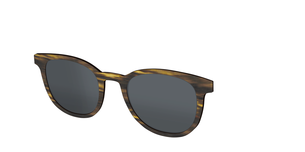 The Polarized Horn Sun Top - Angle Top Image - Pair Eyewear