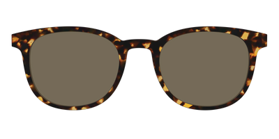 The Non-Polarized Tortoise Sun Top - Front Top Thumbnail - Pair Eyewear