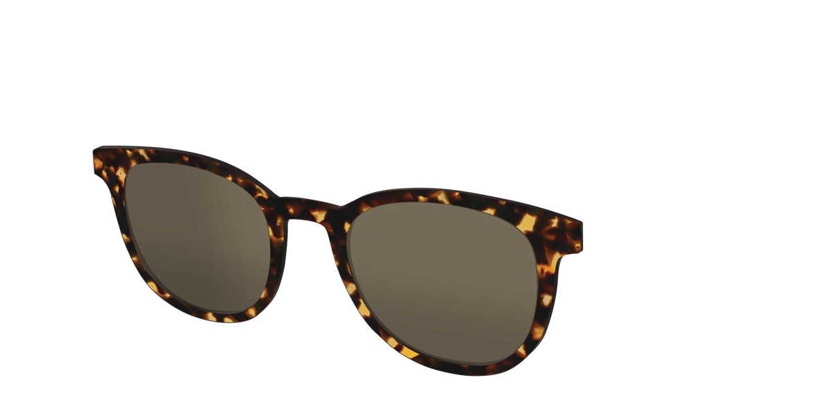The Non-Polarized Tortoise Sun Top - Angle Top Image - Pair Eyewear