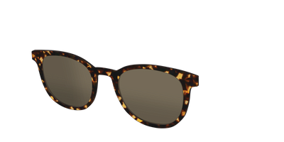 The Non-Polarized Tortoise Sun Top - Angle Top Thumbnail - Pair Eyewear