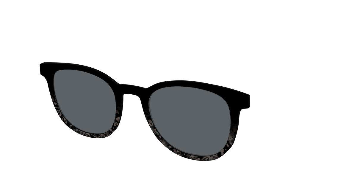 The Polarized Shaded Tortoise Sun Top - Angle Top Image - Pair Eyewear