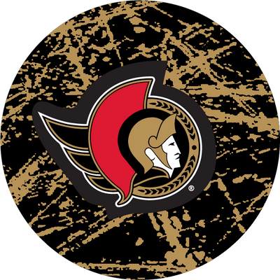The Penguins® Ice