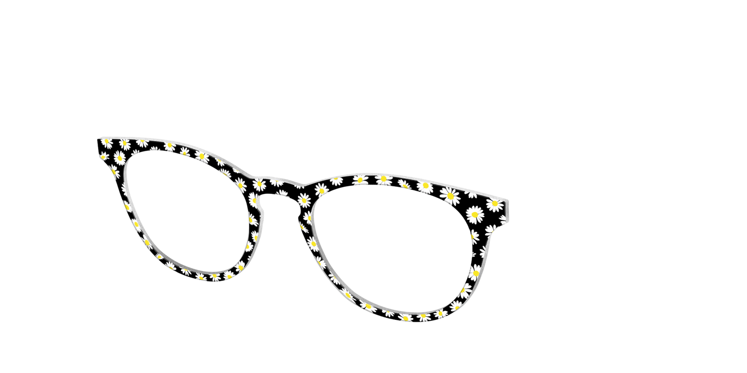 The Black Daisy - Angle Top Image - Pair Eyewear