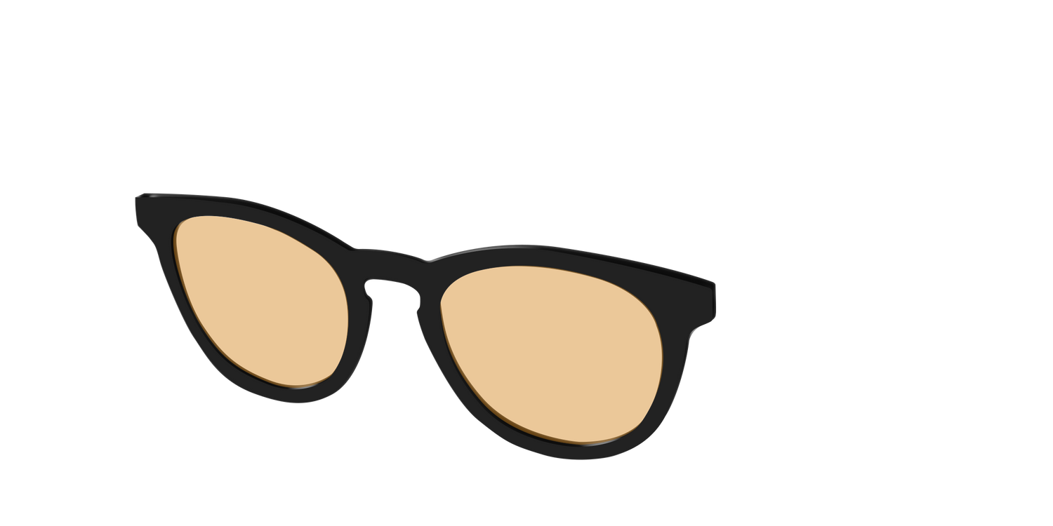 The Black With Umber Brown Lens - Angle Top Image - Pair Eyewear