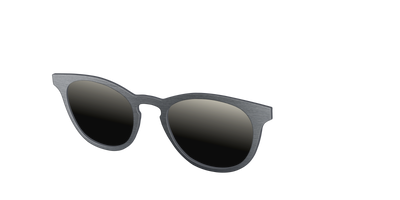 The Polarized Brushed Nickel Sun Top - Angle Top Thumbnail - Pair Eyewear