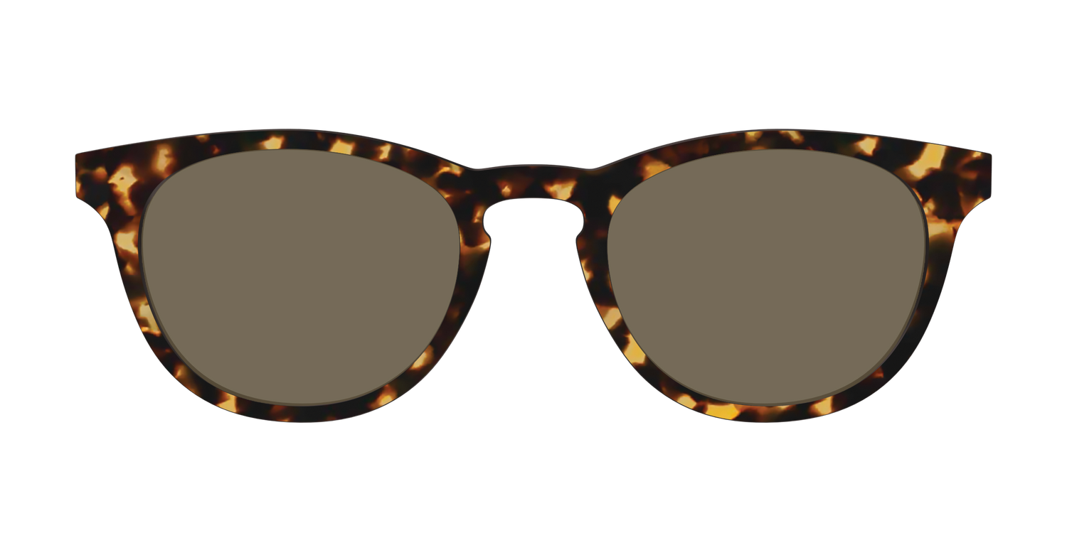 The Non-Polarized Tortoise Sun Top - Front Top Image - Pair Eyewear