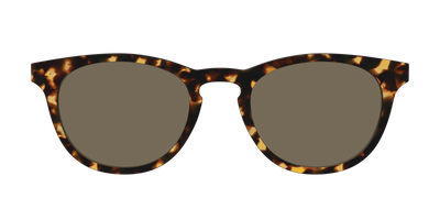 The Non-Polarized Tortoise Sun Top - Front Top Thumbnail - Pair Eyewear