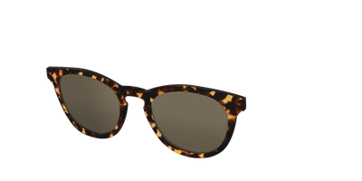 The Non-Polarized Tortoise Sun Top - Angle Top Thumbnail - Pair Eyewear