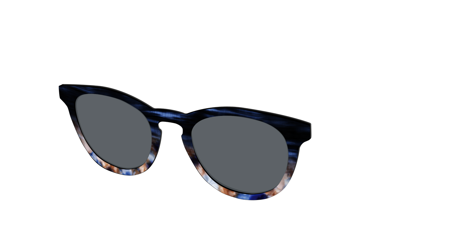 The Polarized Blue Horn Tortoise Sun Top - Angle Top Image - Pair Eyewear