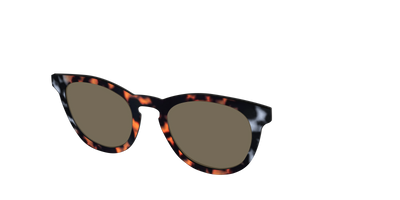 The Polarized Gray & Amber Tortoise Sun Top - Angle Top Thumbnail - Pair Eyewear