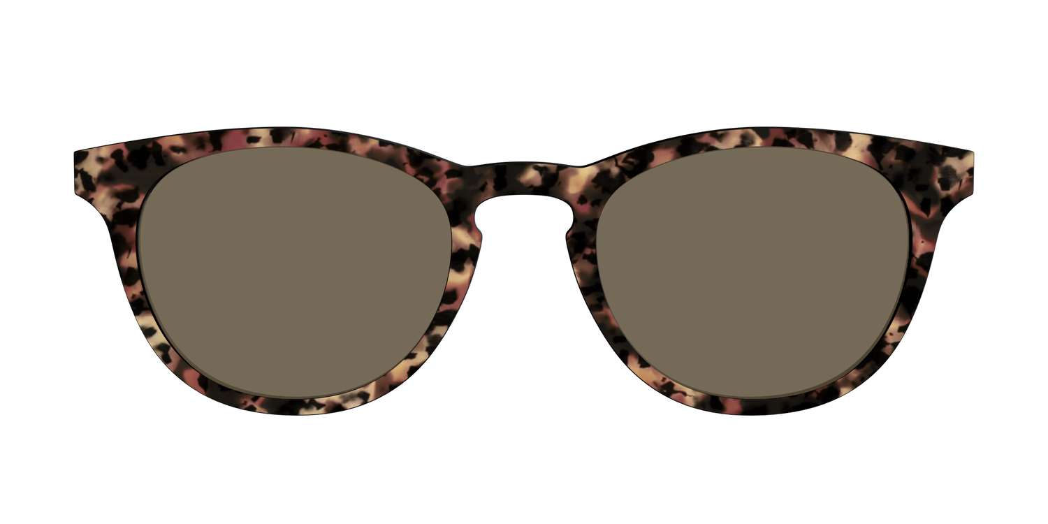 The Polarized Sienna Tortoise Sun Top - Front Top Image - Pair Eyewear