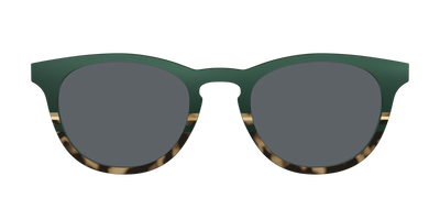The Polarized Spruce Tortoise Sun Top - Front Top Thumbnail - Pair Eyewear