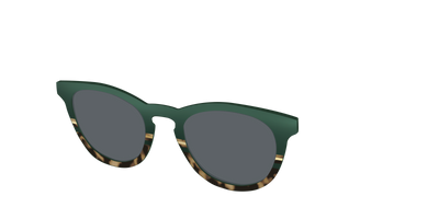The Polarized Spruce Tortoise Sun Top - Angle Top Thumbnail - Pair Eyewear