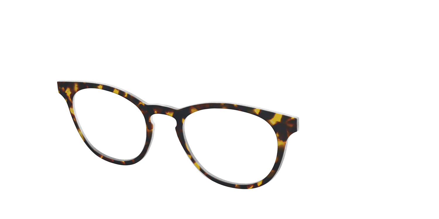 The Tortoise - Angle Top Image - Pair Eyewear