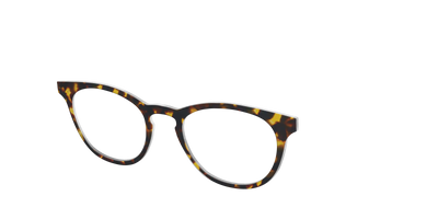 The Tortoise - Angle Top Thumbnail - Pair Eyewear