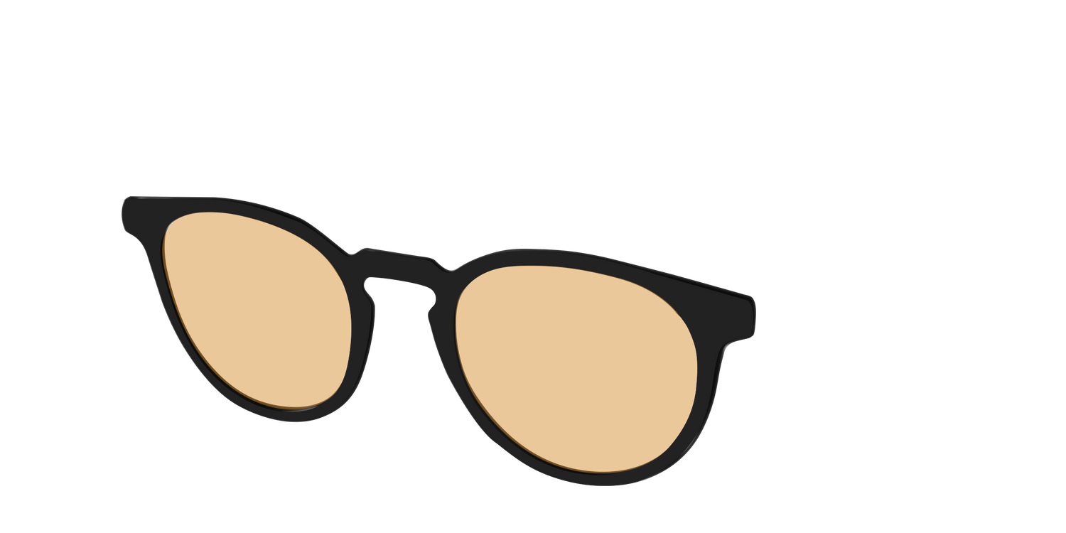 The Black With Umber Brown Lens - Angle Top Image - Pair Eyewear