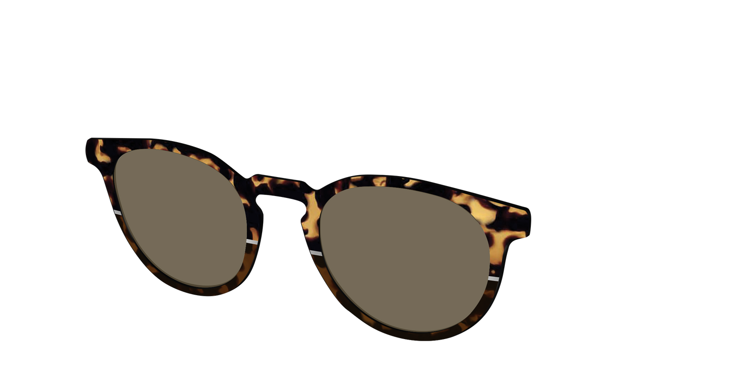 The Polarized Chic Tortoise Split Sun Top - Angle Top Image - Pair Eyewear