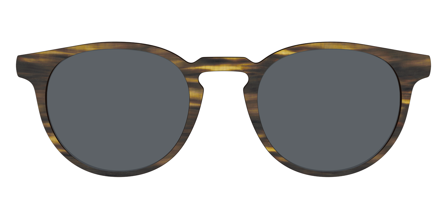 The Polarized Horn Sun Top - Front Top Image - Pair Eyewear