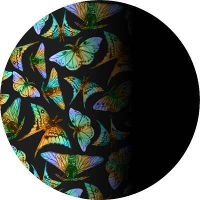 The Black with Driving Lens