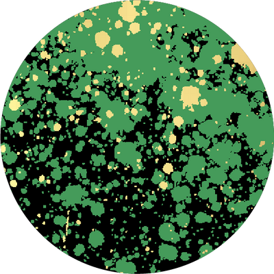 The Navy Pin Dot