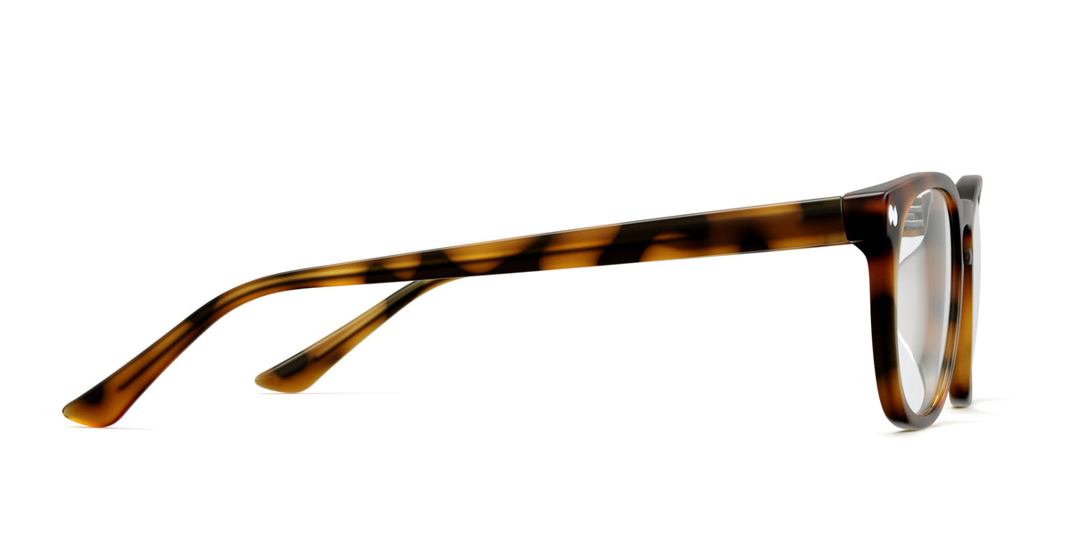 The Twain - Carousel 3 - Pair Eyewear
