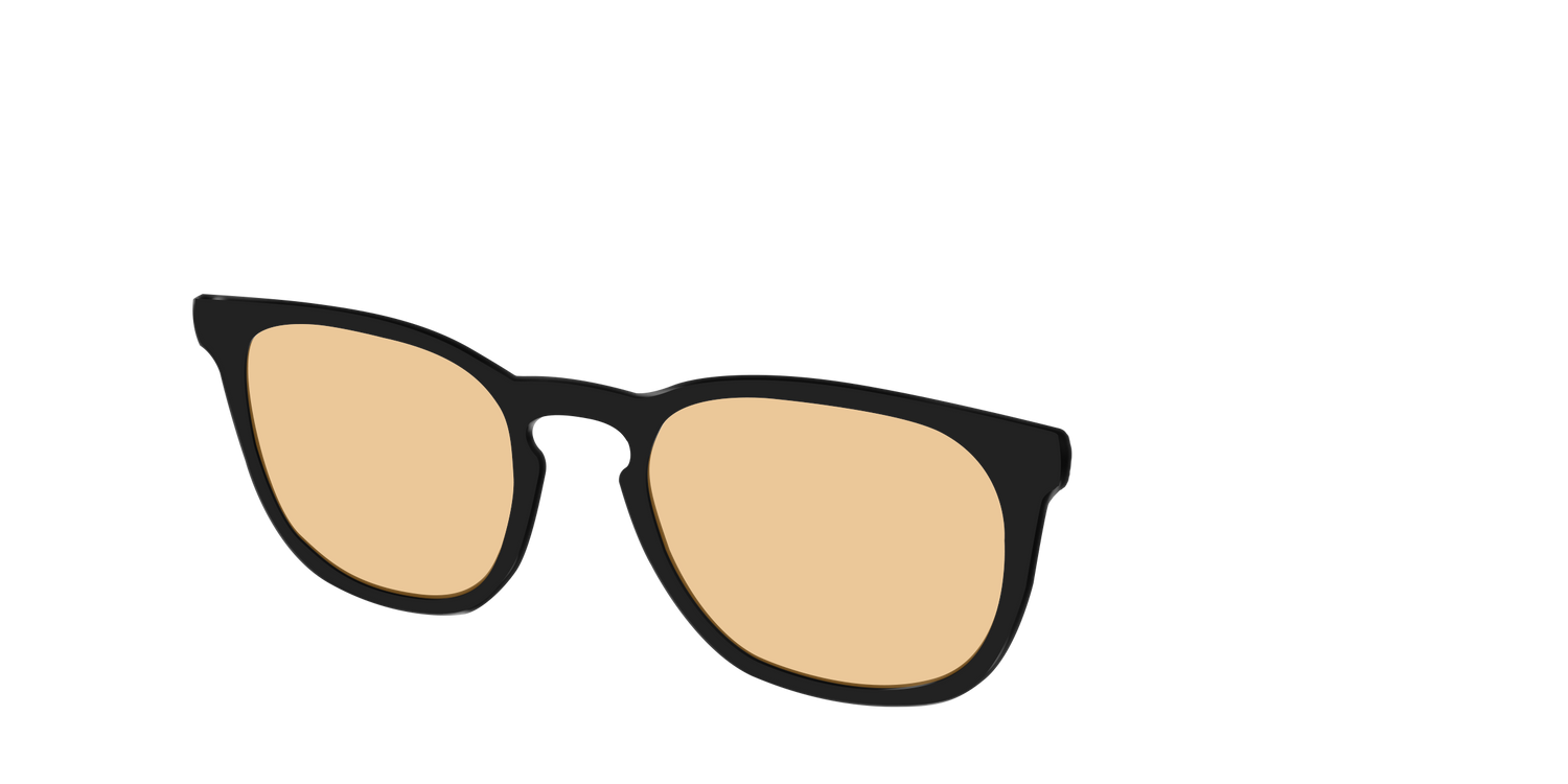 The Black With Umber Brown Lens - Angle Top Image - Pair Eyewear