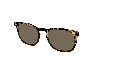 The Polarized Chic Tortoise Split Sun Top - Angle Top Thumbnail - Pair Eyewear