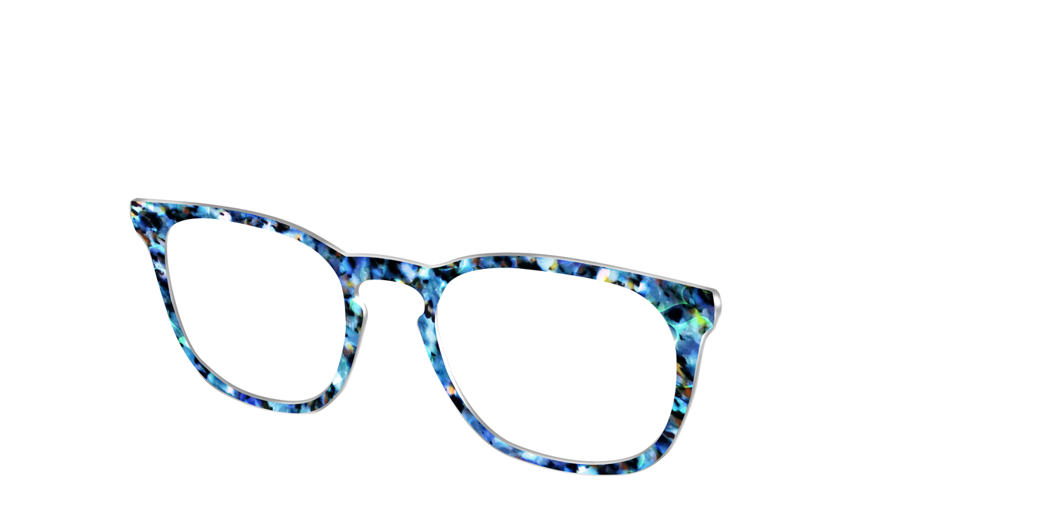 The Freshwater Tortoise - Angle Top Image - Pair Eyewear