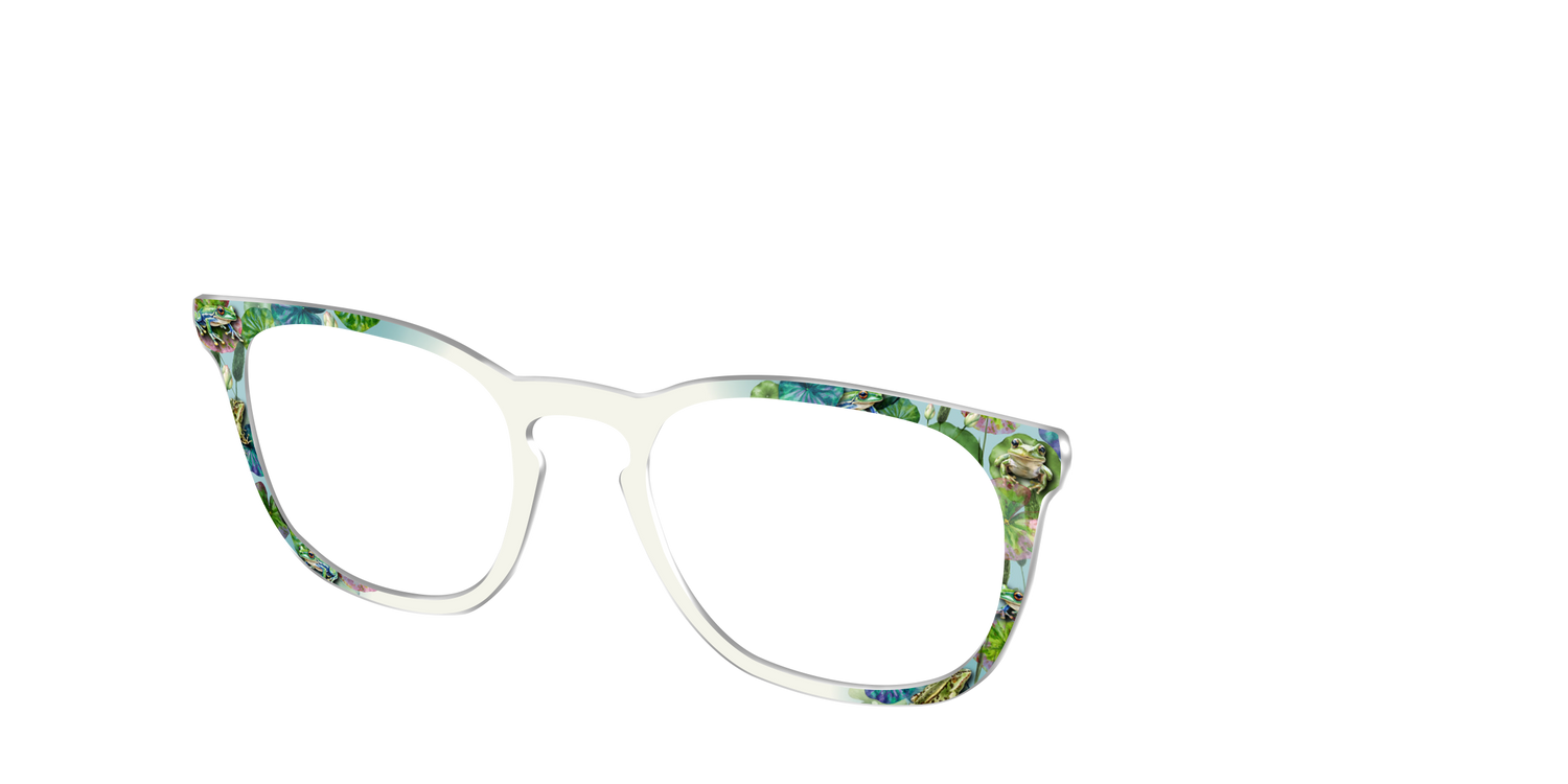 The Froggy Friends - Angle Top Image - Pair Eyewear