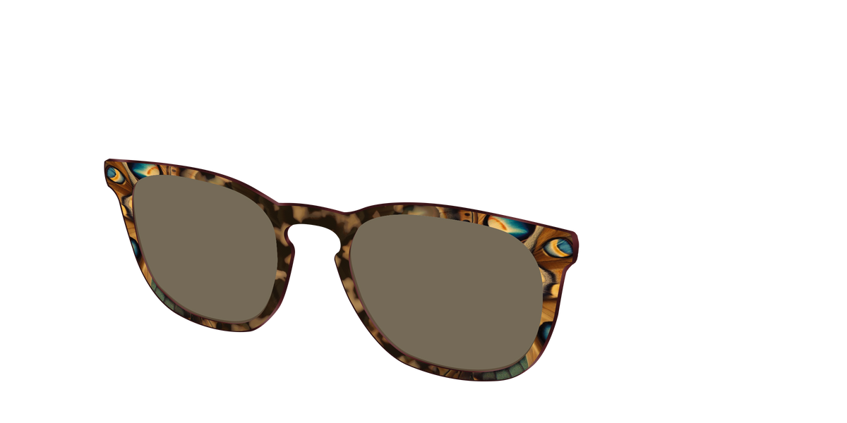 The Polarized Moth Wings Sun Top - Angle Top Image - Pair Eyewear