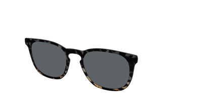 The Polarized Shadow Tortoise Sun Top - Angle Top Thumbnail - Pair Eyewear