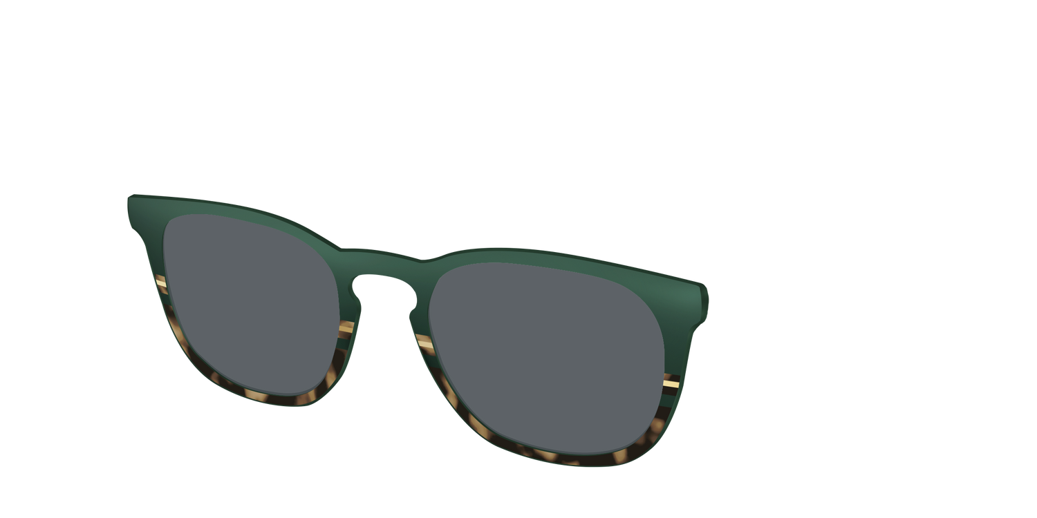 The Polarized Spruce Tortoise Sun Top - Angle Top Image - Pair Eyewear